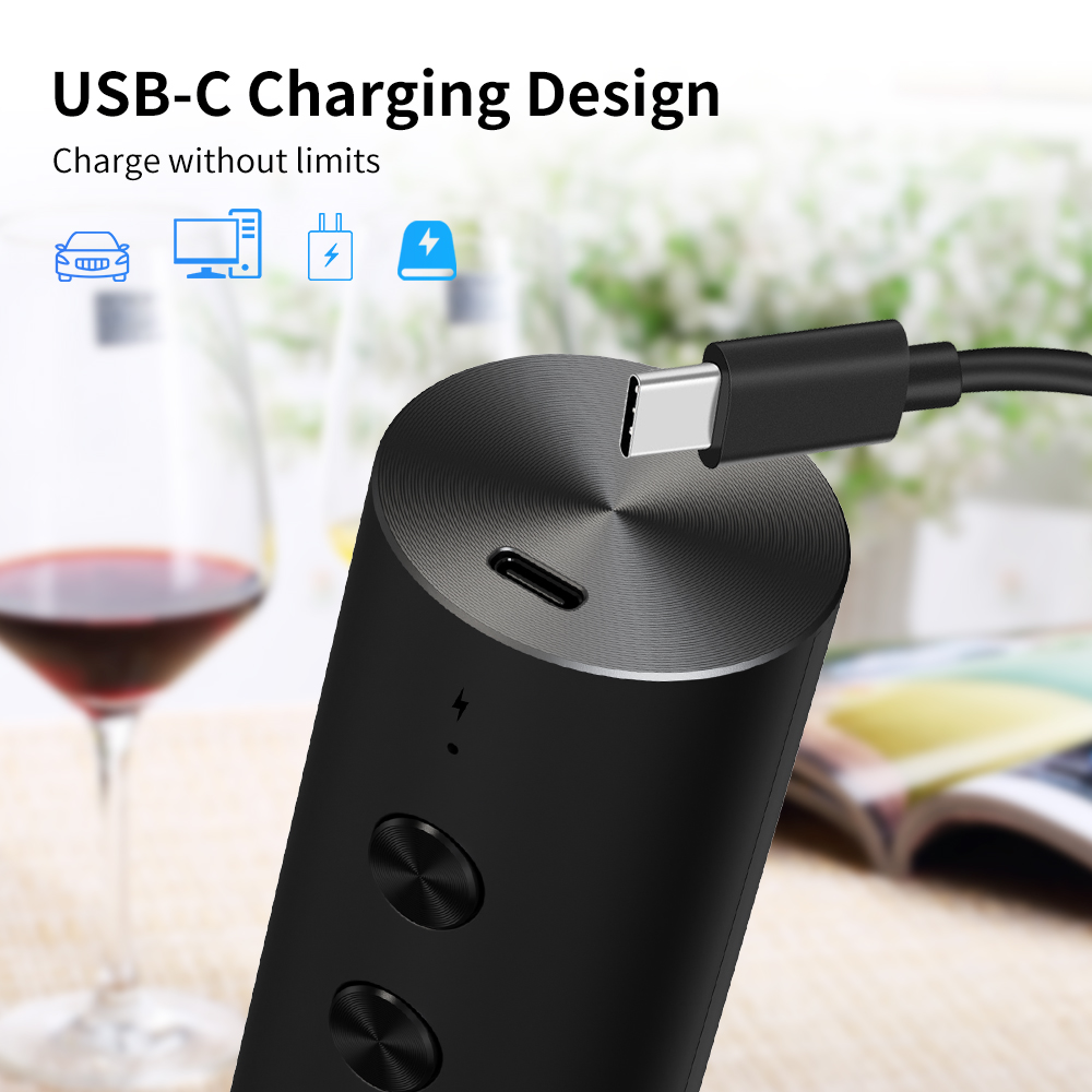 4-in-1 Elektrisches Flaschenöf – Wine Beer And Liquor Bewertung und Preis