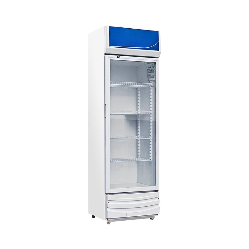 Kommerzieller Elektrischer Dop – Wine Beer Store Bewertung und Preis